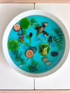 Pond Life Cycle Sensory Kit And Water Play