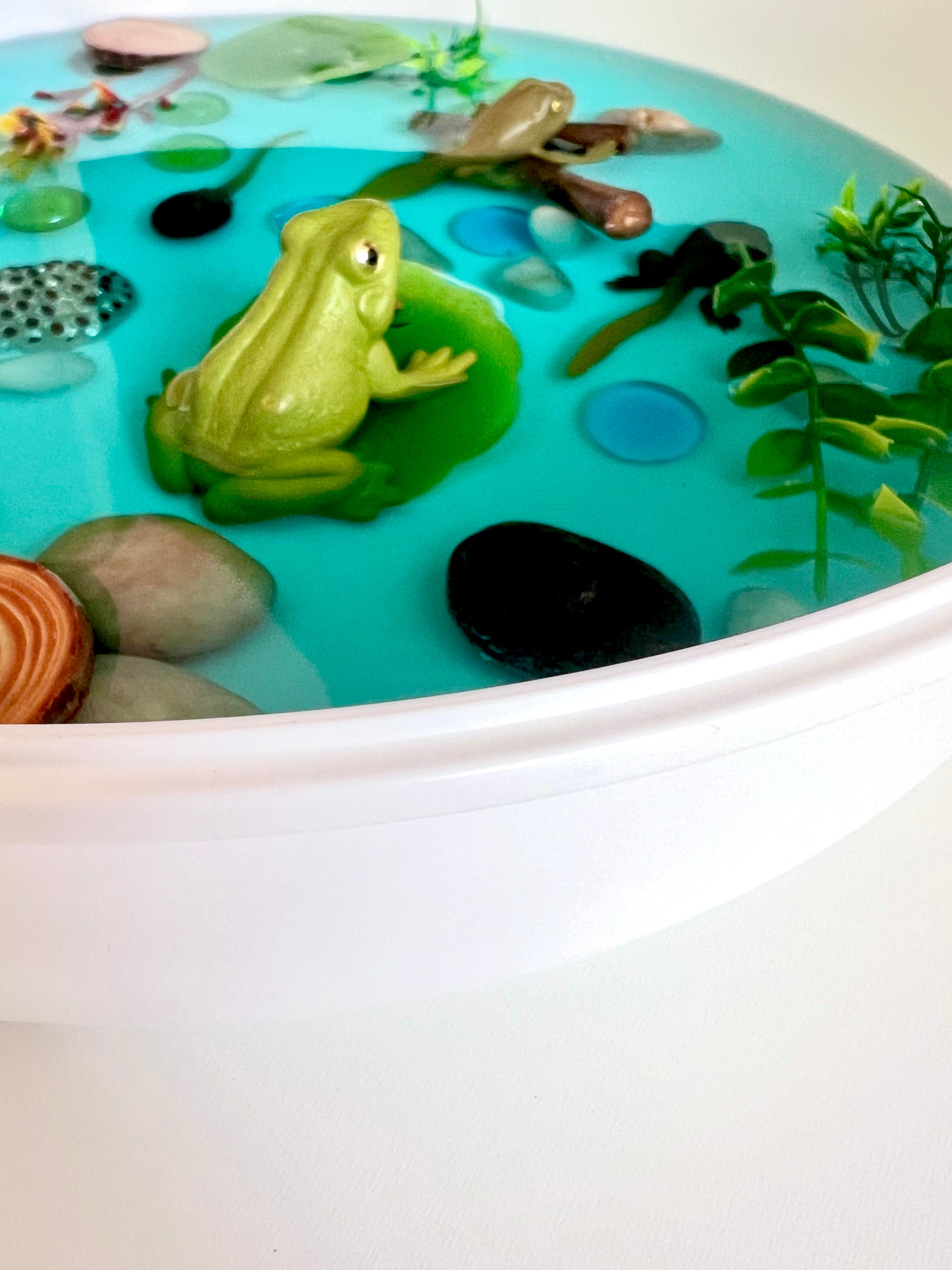 Pond Life Cycle Sensory Kit And Water Play