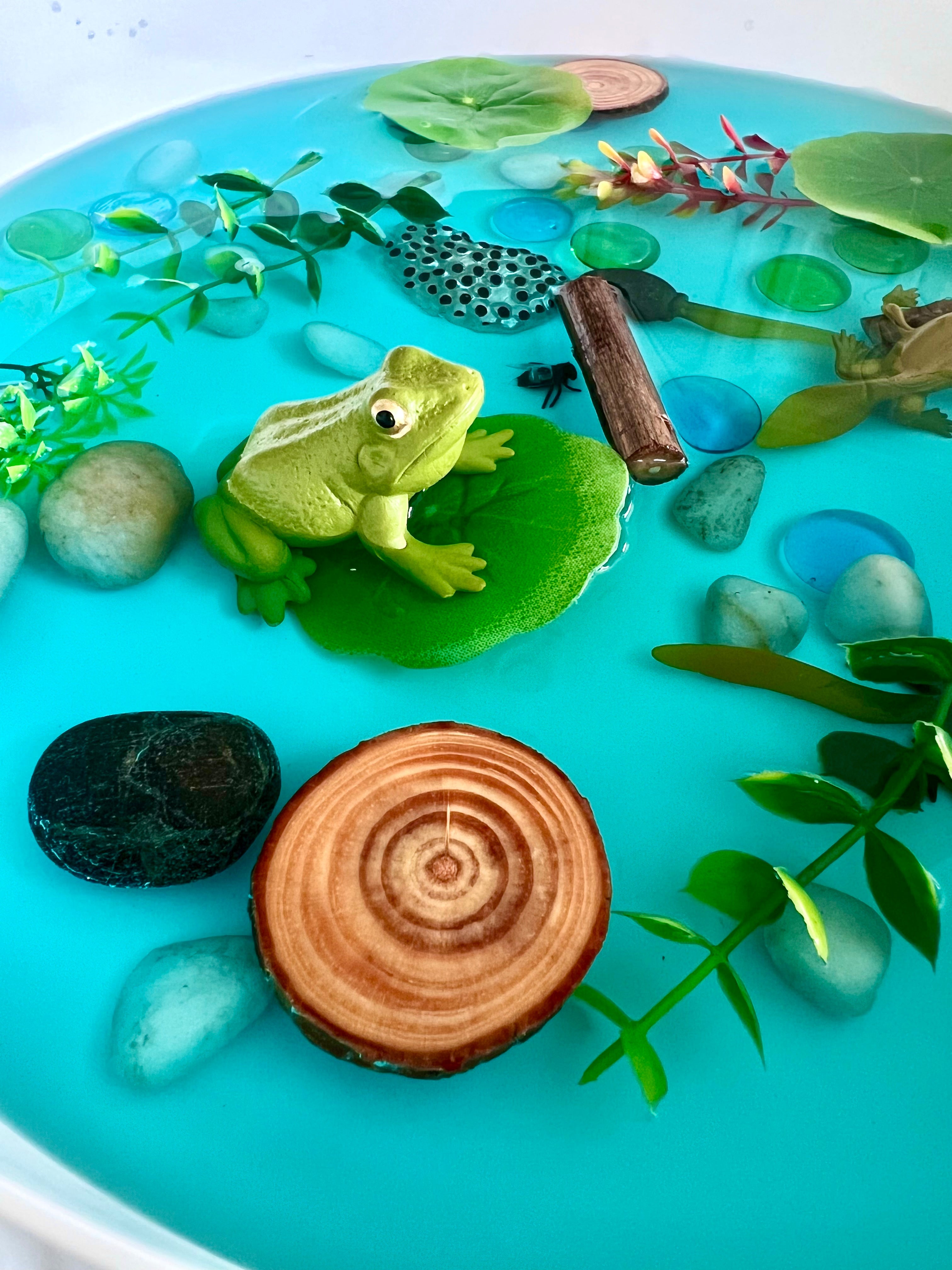 Pond Life Cycle Sensory Kit And Water Play