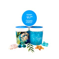Ocean Creatures Sensory Play Kit