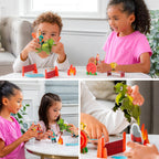 Dragon Trainer: Curious Kingdom Buildable Playset